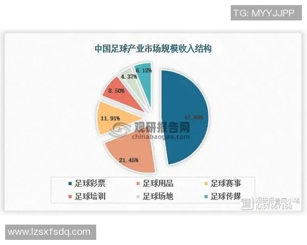 体育培训行业未来发展趋势与市场潜力分析探讨